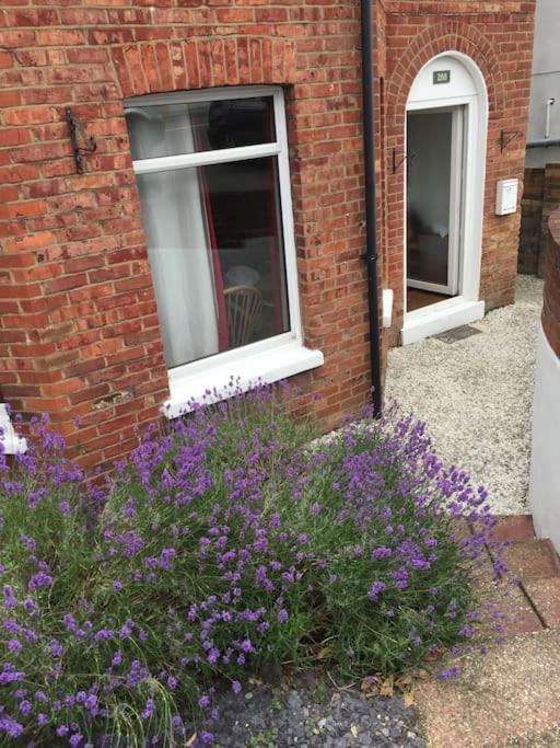 Spacious 5 Large Bedroom Victorian House - Beach 2 Miles Poole Exterior foto
